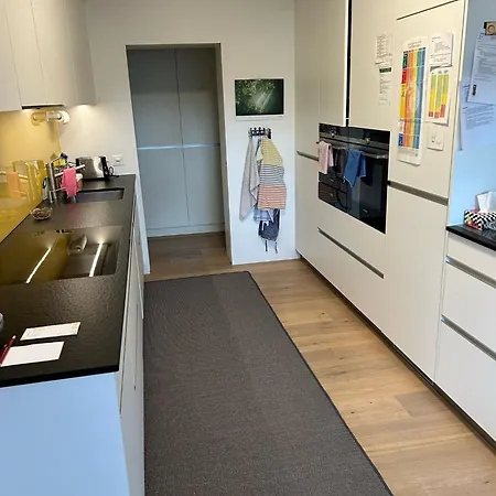 Esc-basel-flat - Whole Rent To Save Our Musical Theater Apartment Basel